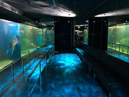 大水槽展示室